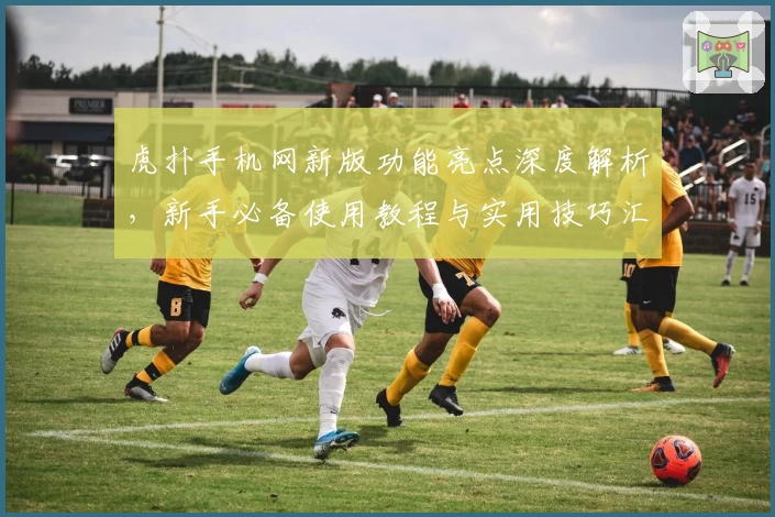 虎扑手机网新版功能亮点深度解析，新手必备使用教程与实用技巧汇总