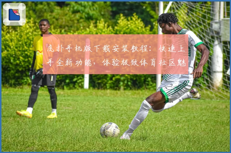 虎扑手机版下载安装教程：快速上手全新功能，体验极致体育社区魅力